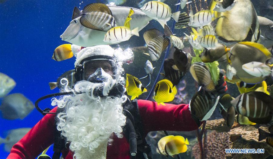 CANADA-TORONTO-AQUARIUM-SANTA CLAUS