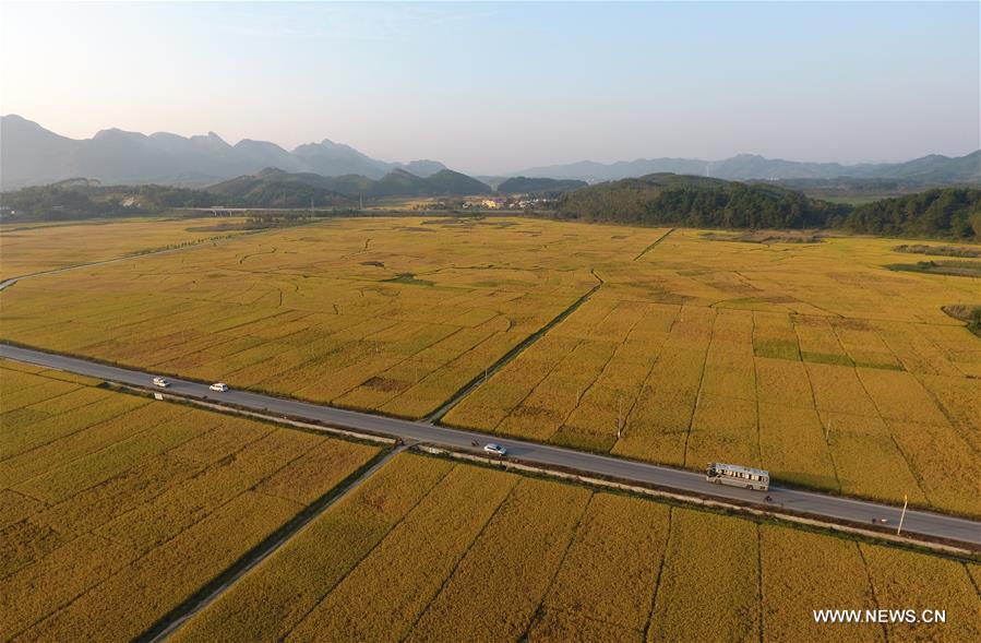 CHINA-GUANGXI-COUNTRY ROAD (CN)