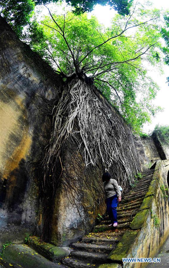 CHINA-GUANGXI-HAKKA DWELLING-SQUARE ENCLOSED HOUSE (CN)