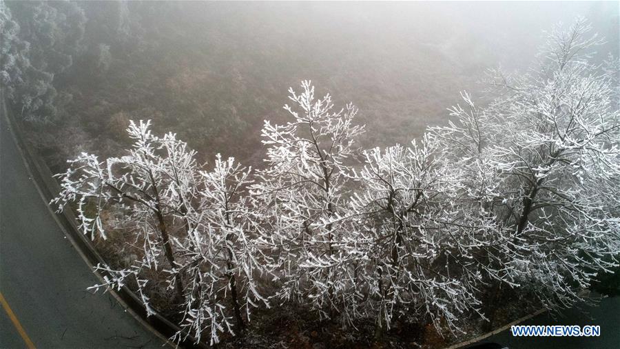 CHINA-JIANGXI-NANCHANG-FROST (CN)