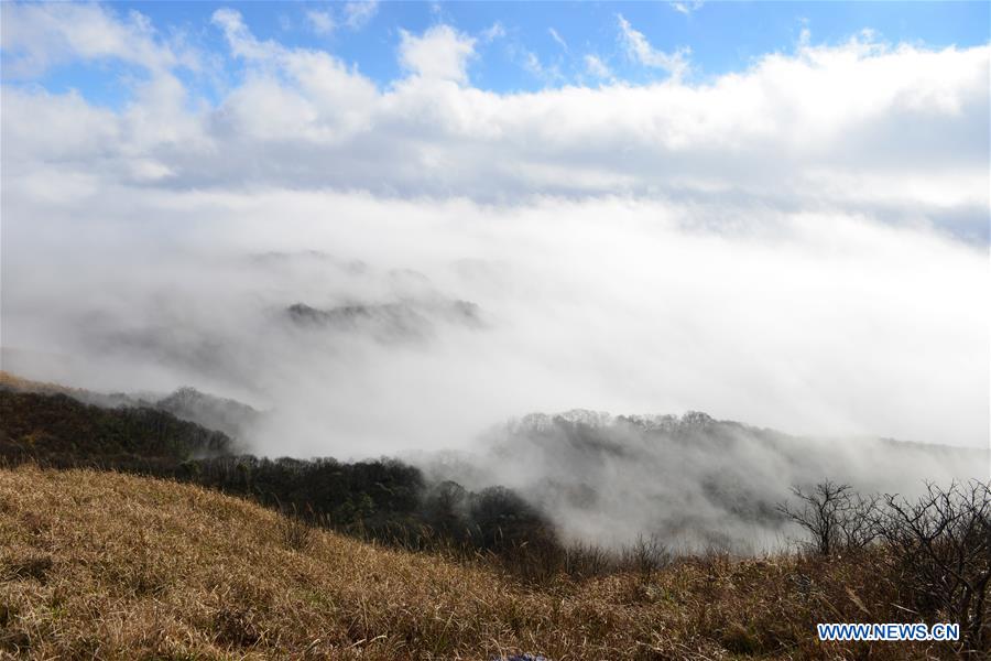 #CHINA-GUIZHOU-MIAOLING-SCENERY (CN)