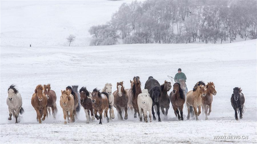 #CHINA-INNER MONGOLIA-WINTER TOURISIM (CN)