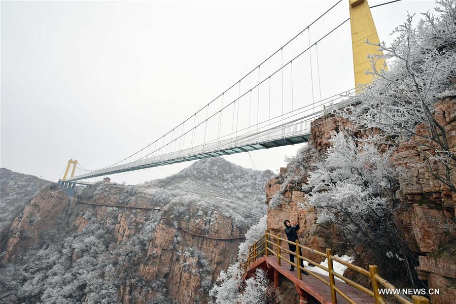 CHINA-HENAN-PINGDINGSHAN-FROST SCENERY (CN)