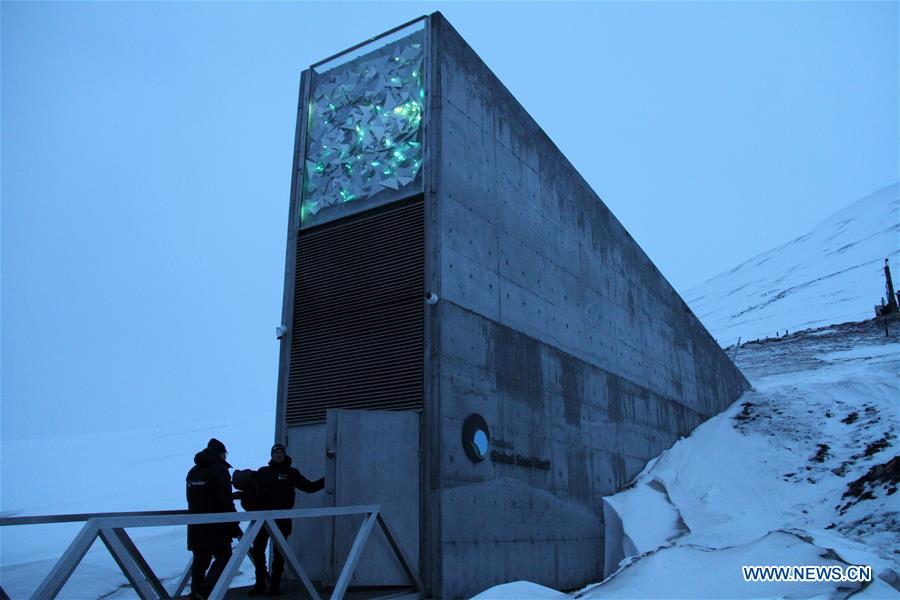 NORWAY-LONGYEARBYEN-SEED SAMPLES