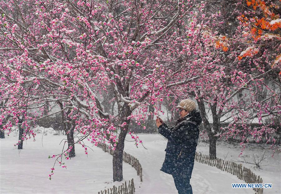 CHINA-JILIN-WEATHER-YELLOW ALERT (CN)