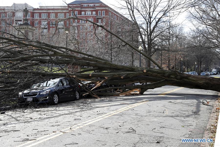 U.S.-WASHINGTON D.C.-WINDSTORM