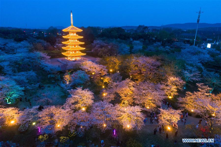 CHINA-WUHAN-CHERRY BLOSSOMS (CN)