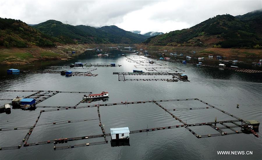 CHINA-GUANGXI-LANDSCAPE-FISHERY (CN)