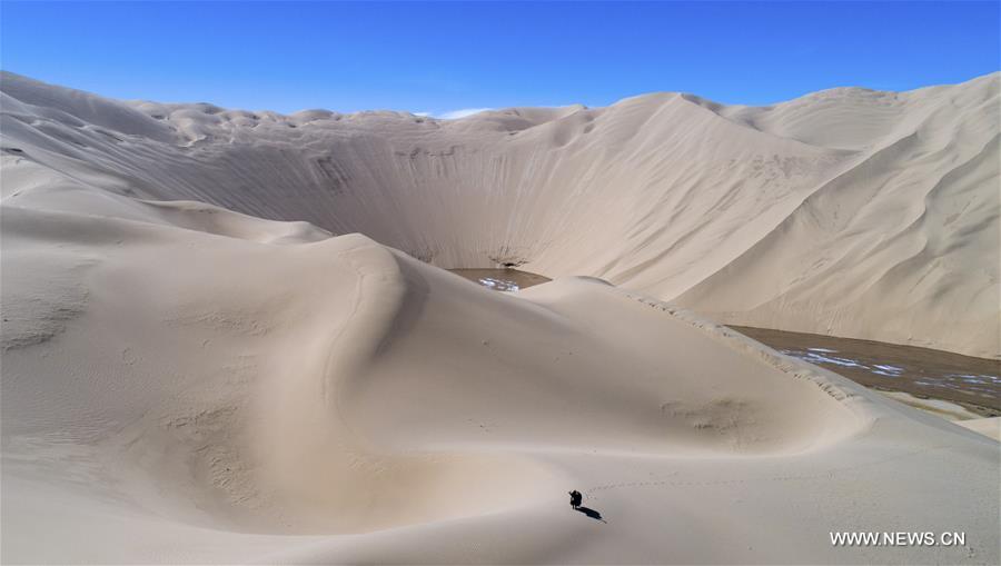 CHINA-XINJIANG-ALTUN MOUNTAINS-WILDLIFE-LANDSCAPE (CN)