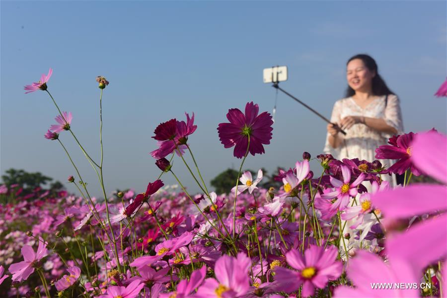 #CHINA-QINGMING FESTIVAL-TOURISM (CN)