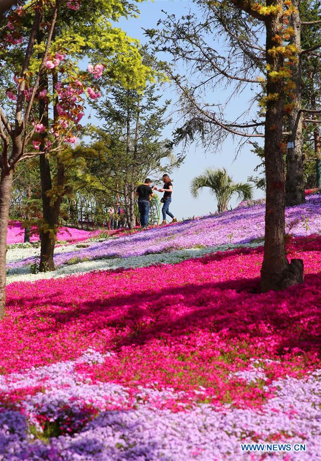 #CHINA-SPRING SCENERY-FLOWERS (CN)