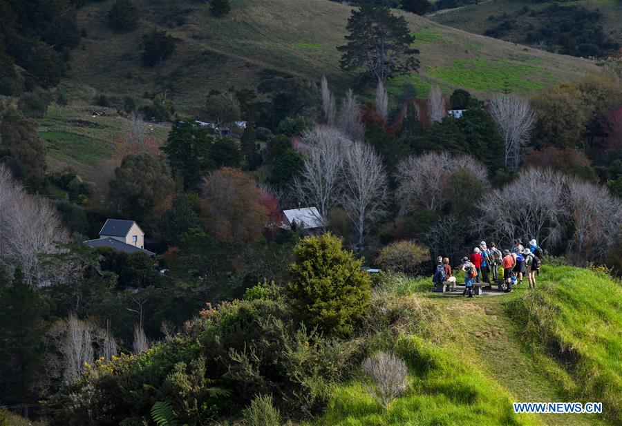 NEW ZEALAND-PUHOI-SCENERY