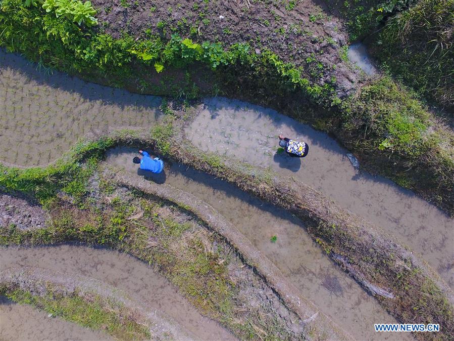 #CHINA-HUNAN-LOUDI-TERRACED FIELDS (CN*)