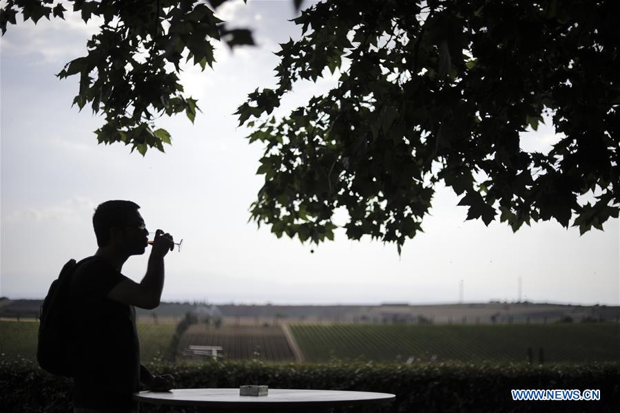 GREECE-THESSALONIKI-OPEN CELLAR DOORS-VINEYARD