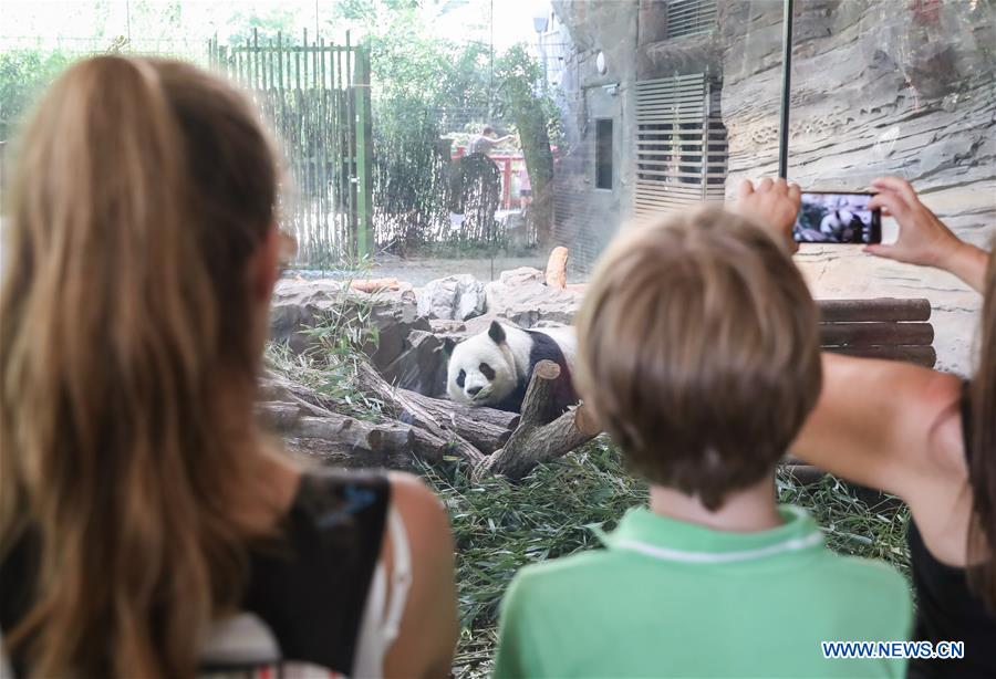 GERMANY-BERLIN-PANDAS