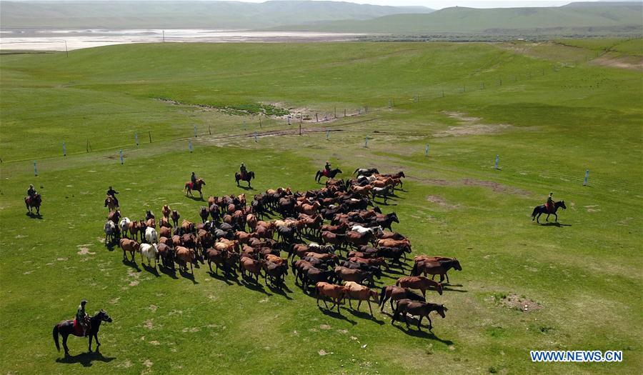 CHINA-GANSU-SHANDAN HORSE RANCH-SCENERY (CN)