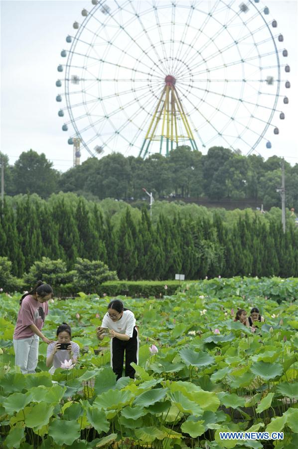 CHINA-ZHEJIANG-DONGYANG-HUAYUAN VILLAGE-DEVELOPMENT (CN)