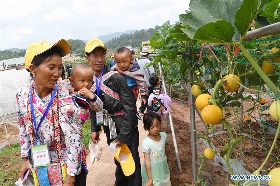 CHINA-YUNNAN-WUDING-VEGETABLE SEEDS EXPO (CN)