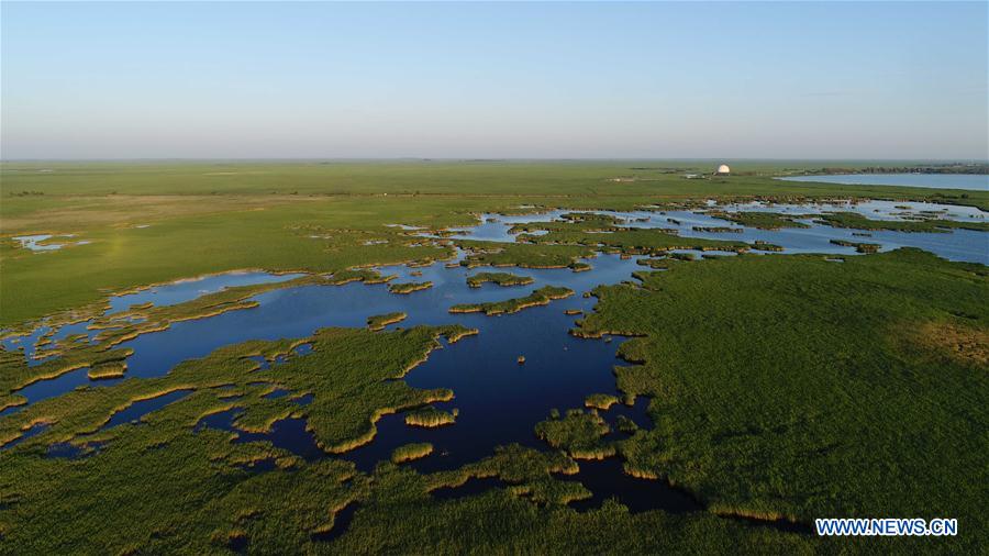 CHINA-HEILONGJIANG-QIQIHAR-NATURE RESERVE (CN)