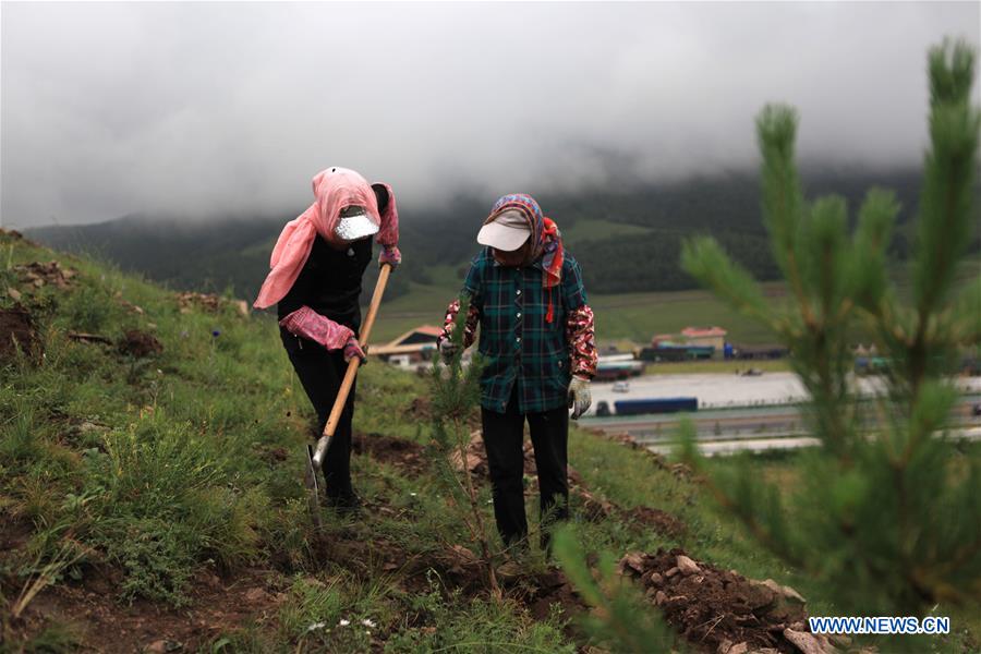 #CHINA-HEBEI-FENGNING-AFFORESTATION (CN)