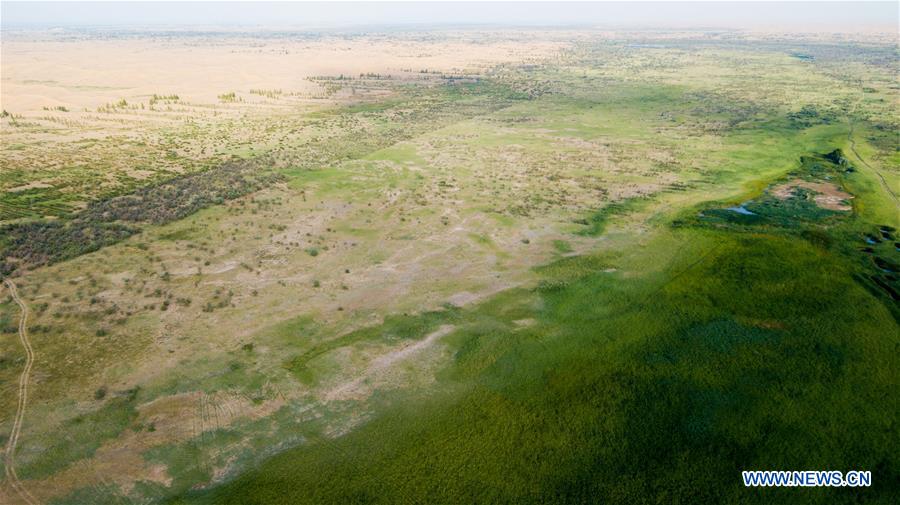 CHINA-INNER MONGOLIA-KUBUQI-DESERT CONTROL-TECHNOLOGY INNOVATION (CN) 