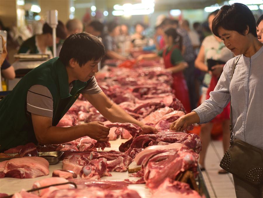 #CHINA-ECONOMY-CPI-UP (CN)