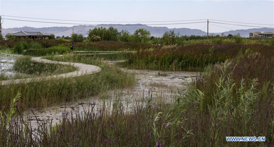 CHINA-GANSU-ZHANGYE-WETLAND (CN)