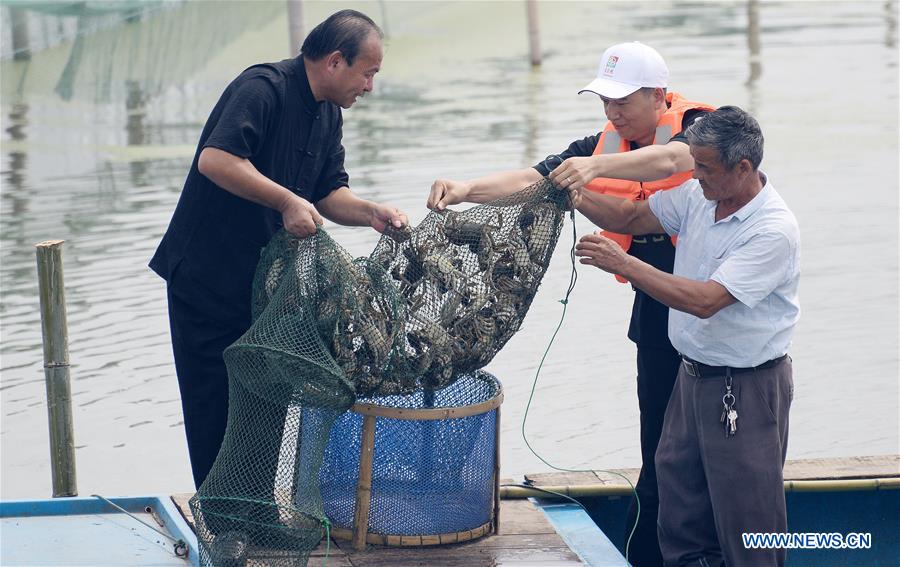 #CHINA-SUZHOU-FOOD CULTURE-CRAB-FESTIVAL (CN)