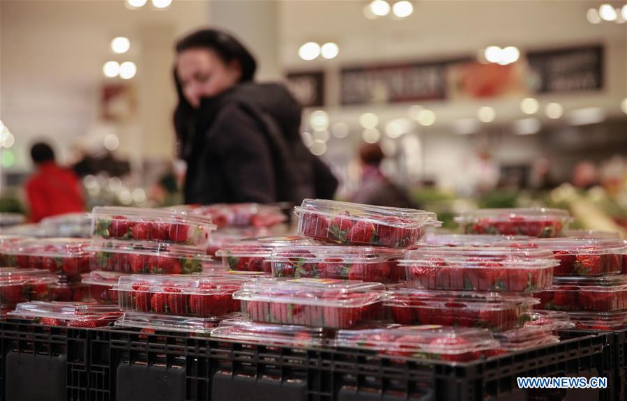 AUSTRALIA-SYDNEY-NEEDLES-STRAWBERRIES