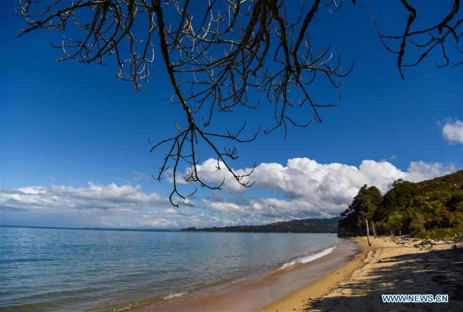 NEW ZEALAND-ABEL TASMAN NATIONAL PARK-DAILY LIFE