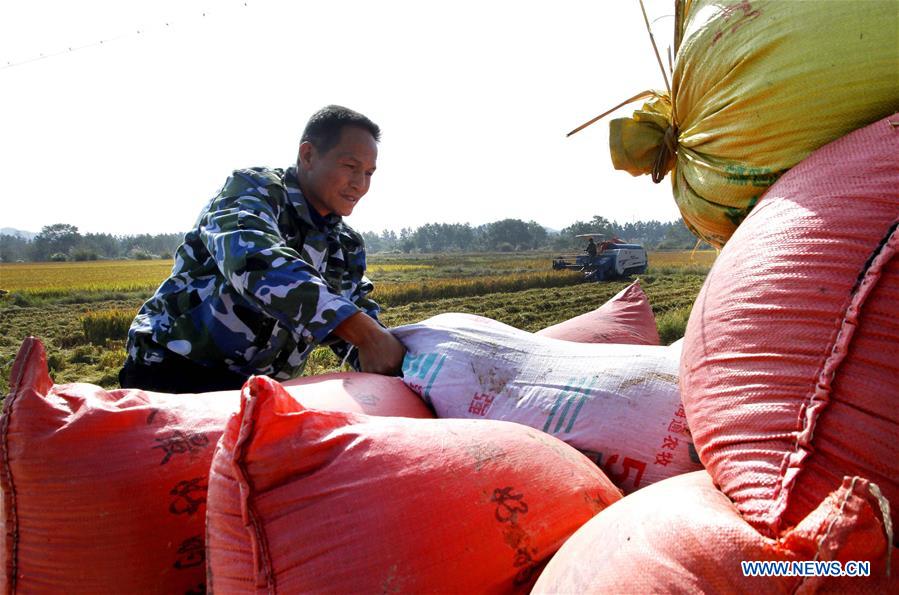 #CHINA-AUTUMN-HARVEST (CN)