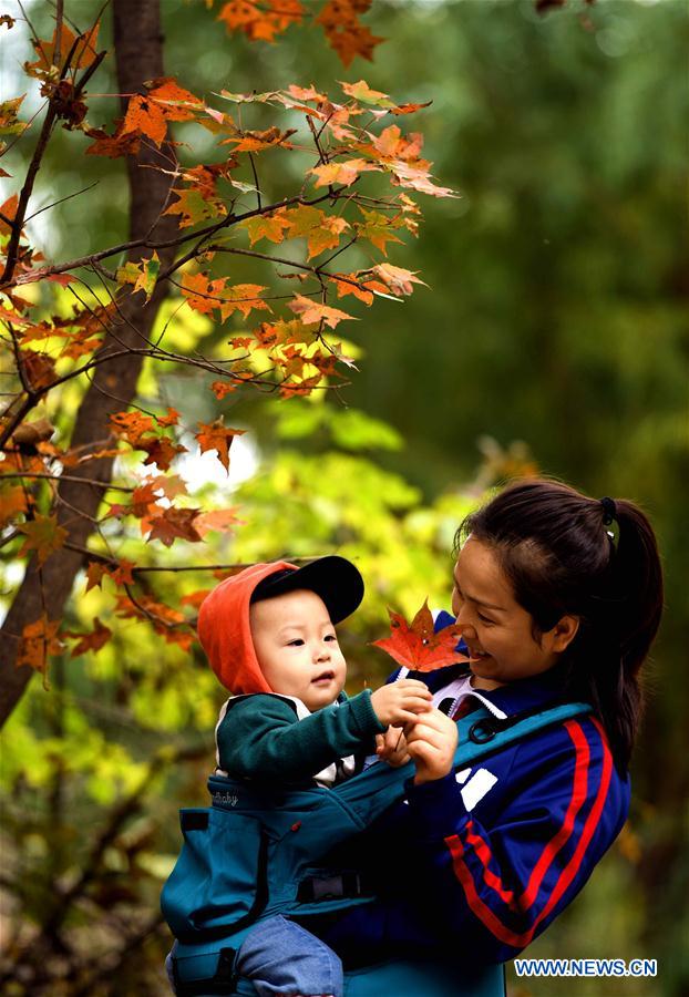 #CHINA-HEBEI-TAIHANG MOUNTAIN-AUTUMN (CN)