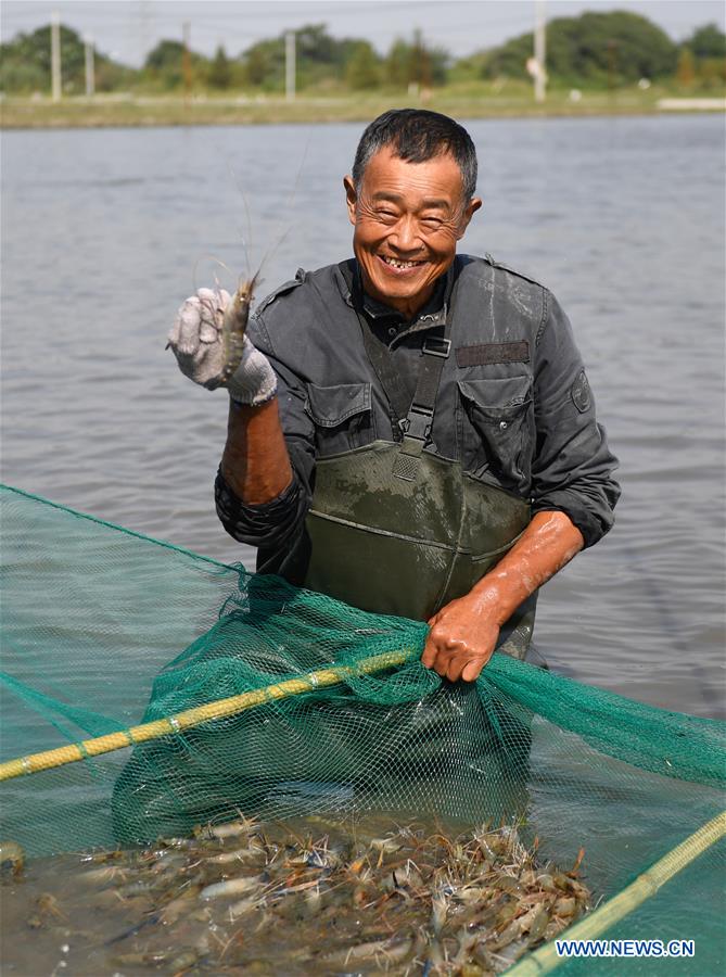 CHINA-ZHEJIANG-HUZHOU-FISHERY-SHRIMP (CN)