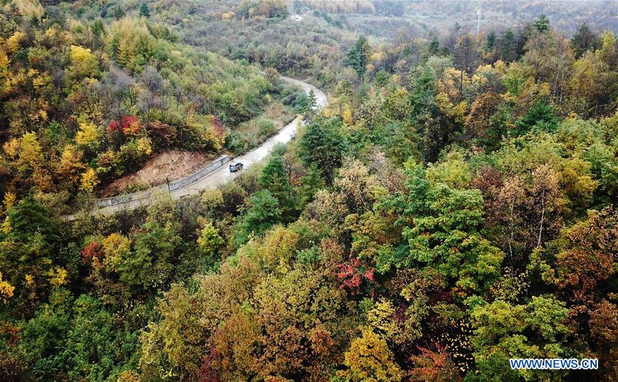 CHINA-GANSU-LIANGDANG-AUTUMN-LANDSCAPE (CN)