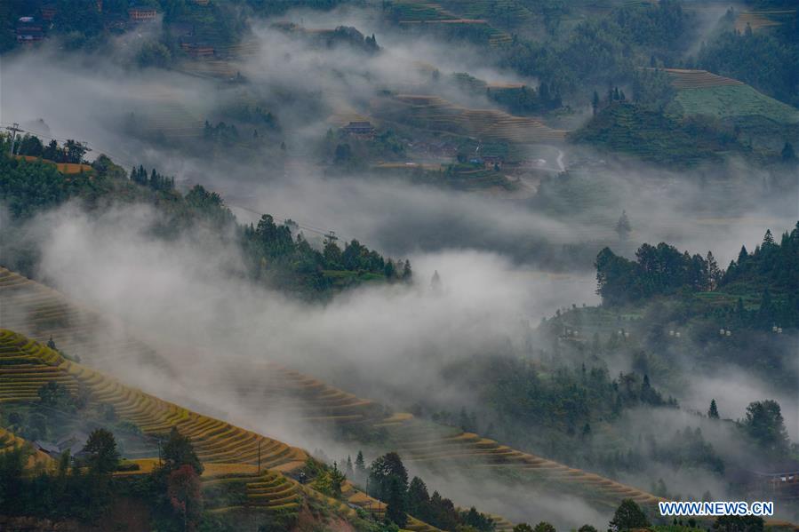 #CHINA-GUANGXI-TERRACE-SCENERY (CN)