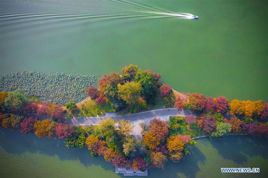 #CHINA-AUTUMN-SCENERY (CN)