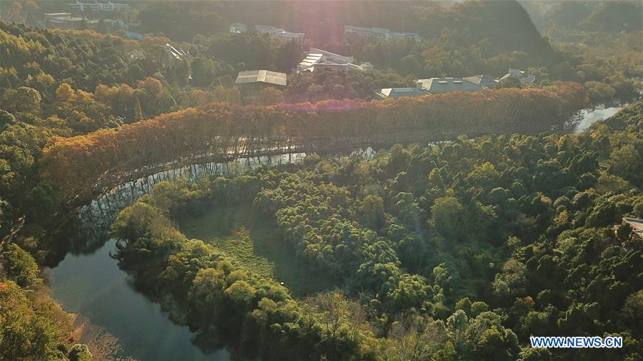 CHINA-GUIZHOU-GUIYANG-WETLAND PARK-AUTUMN SCENERY (CN)