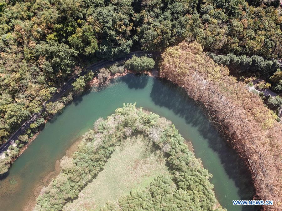 CHINA-GUIZHOU-GUIYANG-WETLAND PARK-AUTUMN SCENERY (CN)