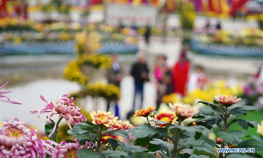 CHINA-JIANGXI-NANCHANG-CHRYSANTHEMUM SHOW (CN)