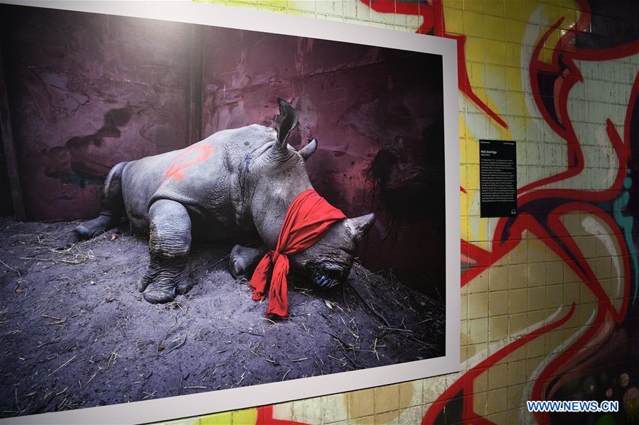 U.S.-WASHINGTON D.C.-WORLD PRESS PHOTO-EXHIBITION