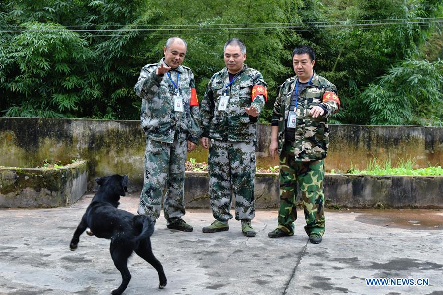 CHINA-GUIZHOU-BAMBOO FOREST-RANGERS (CN)