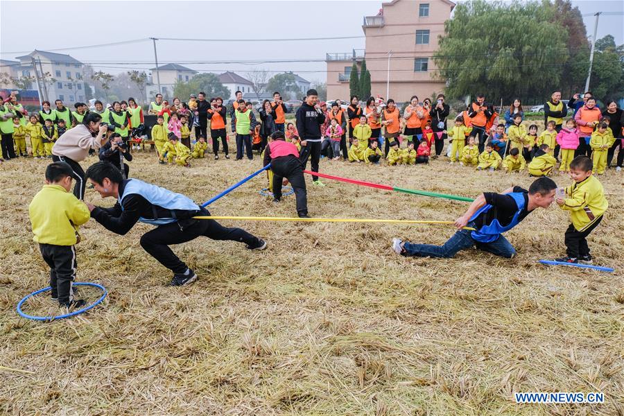 CHINA-ZHEJIANG-CHANGXING-RICE FIELD-RECREATION (CN)