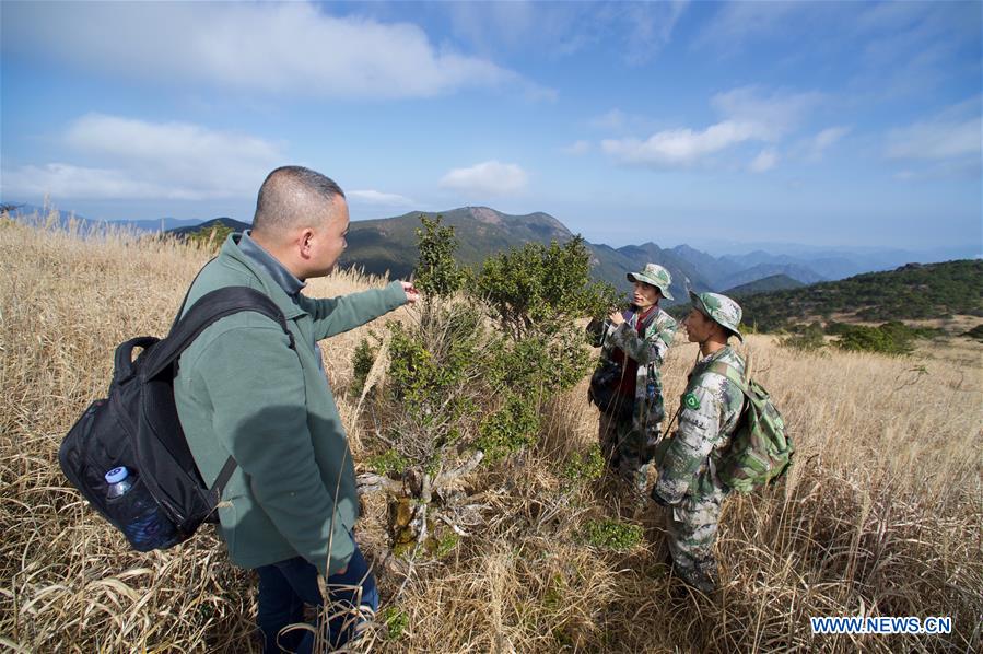 CHINA-FUJIAN-MOUNT WUYI-SCIENTIFIC EXPEDITION (CN)