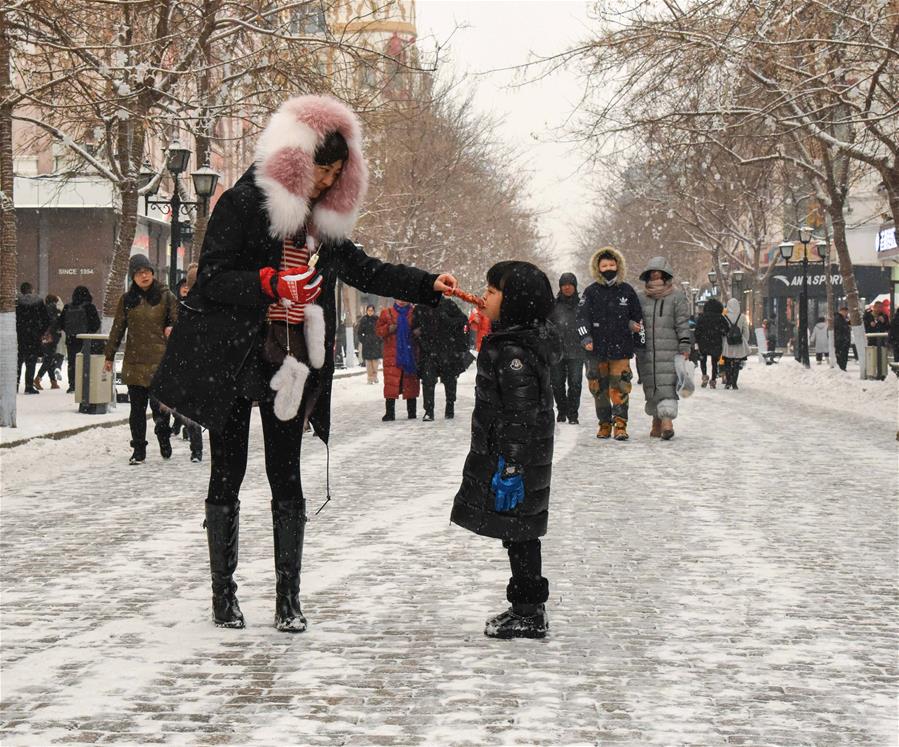 CHINA-HEILONGJIANG-HARBIN-SNOW (CN)