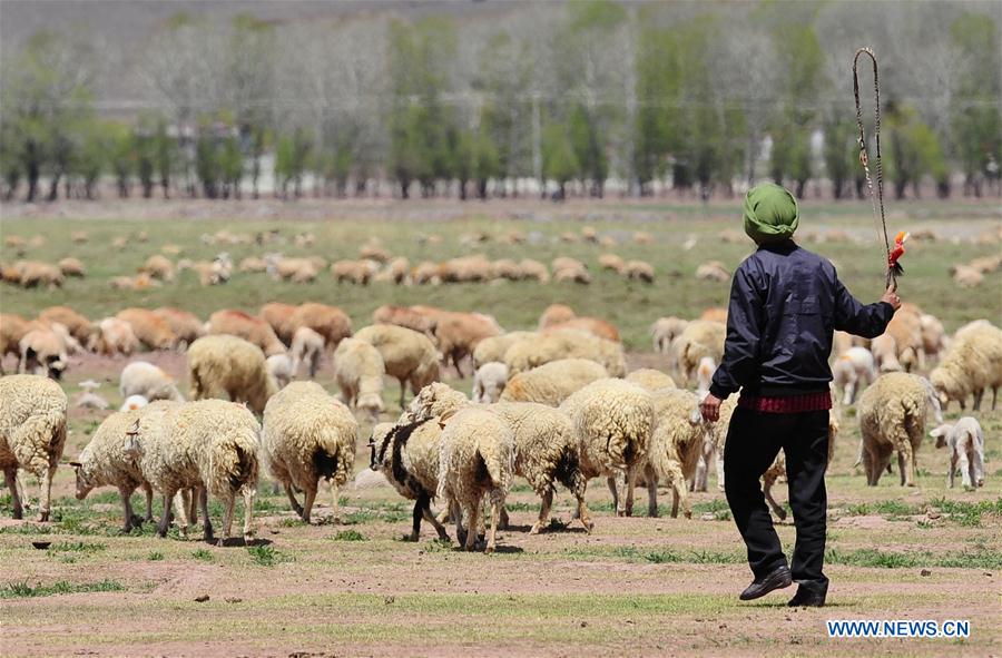 CHINA-LHASA-POVERTY REDUCTION(CN)