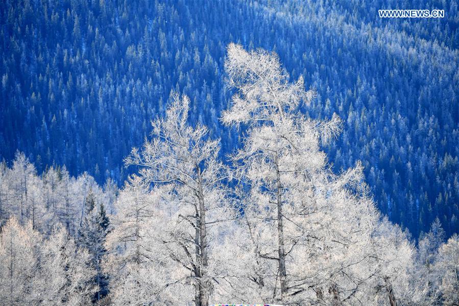 CHINA-XINJIANG-SCENIC SPOT-WINTER SCENERY (CN)