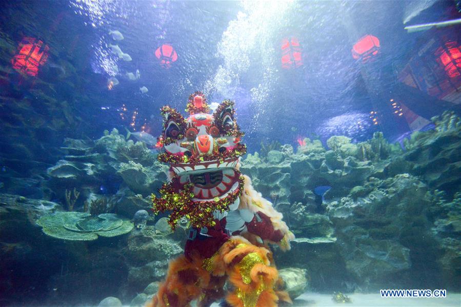 MALAYSIA-KUALA LUMPUR-UNDERWATER LION DANCE