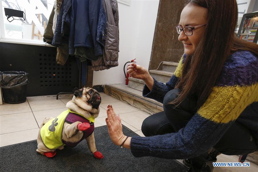 POLAND-WARSAW-PUG-GATHERING