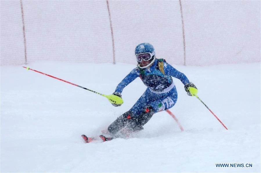 (SP)BOSNIA AND HERZEGOVINA-SARAJEVO-EUROPEAN YOUTH OLYMPIC FESTIVAL-WOMEN'S GIANT SLALOM