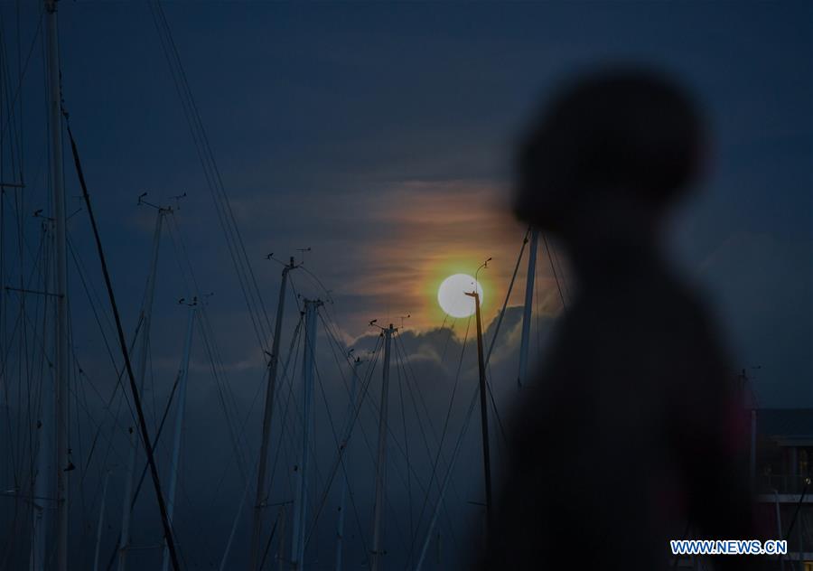 NEW ZEALAND-WELLINGTON-FULL MOON